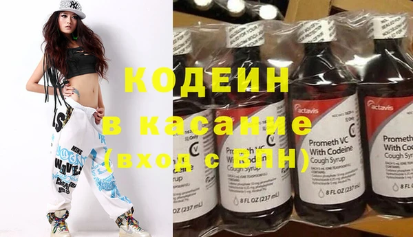 скорость Каменка