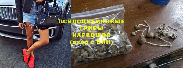 ешки Аркадак