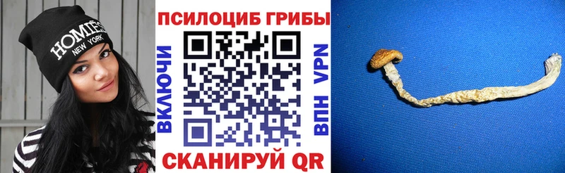 где продают наркотики Островной Галлюциногенные грибы мухоморы